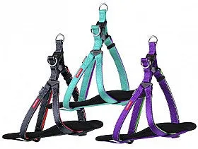 Active Walking Harness